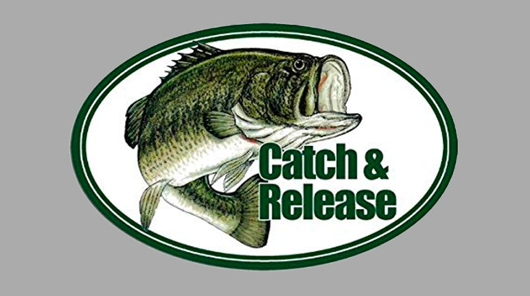 Catch and Release Selective Harvesting